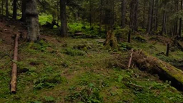 Расслабляющая фортепианная музыка • Расслабляющая музыка для снятия стресса, сна и расслабления смотреть онлайн