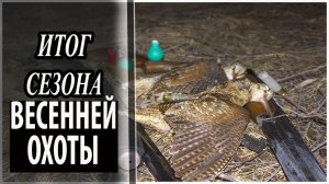 Охота на вальдшнепа итог весны