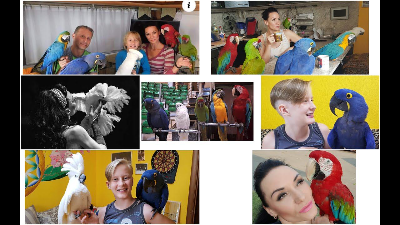 ПРЯМОЙ ЭФИР!!!!#2