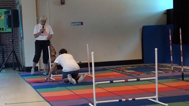 Change for Chow - agility demo смотреть онлайн