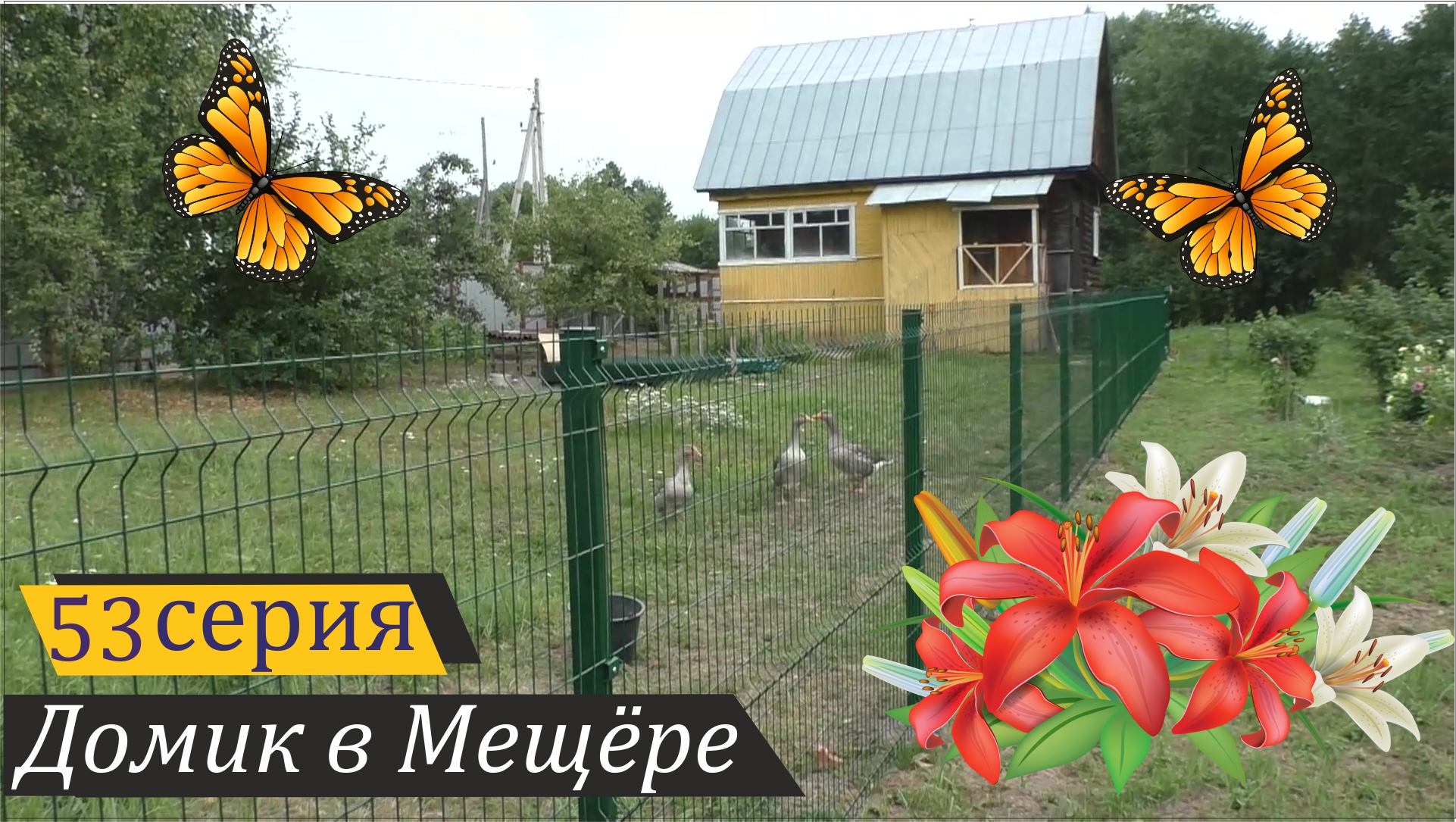 Возвращение в лето: огород, 3D-забор и высохшая речка. Домик в Мещёре, серия 53 смотреть онлайн