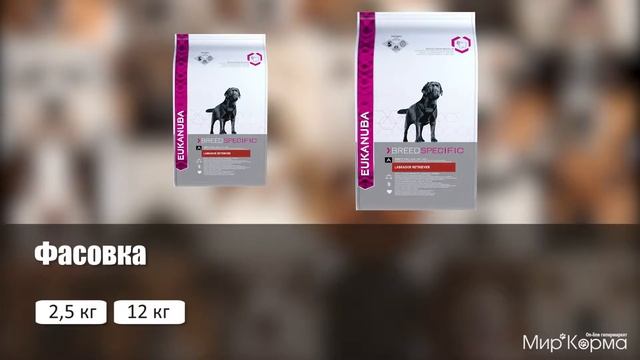 Обзор корма Eukanuba Breed Specific Labrador Retriever смотреть онлайн