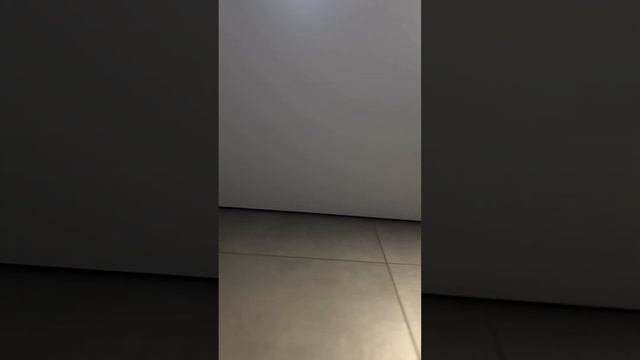 Теневой натяжной потолок в санузле ? #дизайнинтерьера #натяжныепотолки #ремонт #интерьер #потолки смотреть онлайн