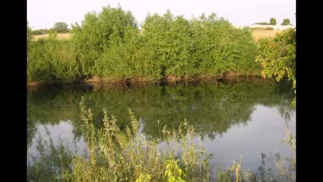 Мой край смотреть онлайн