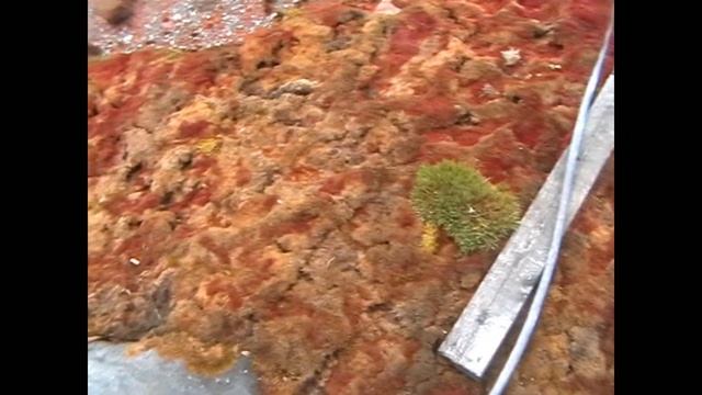 Таймыр. п.Хатанга-мыс Челюскина. 10 лет. смотреть онлайн