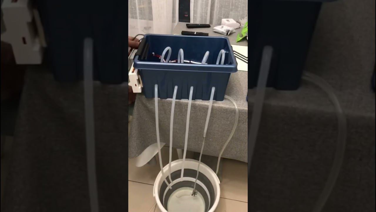 Кто будет цветы поливать?! смотреть онлайн