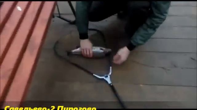 21 ноября Савельево-2 Пирогово смотреть онлайн