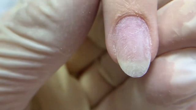 Летний френч☀️Аппарат Marathon Champion 3?? смотреть онлайн