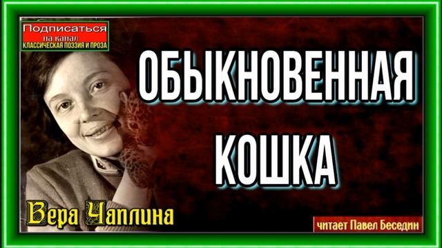 Обыкновенная кошка —Вера Чаплина — Рассказы о животных — читает Павел Беседин смотреть онлайн