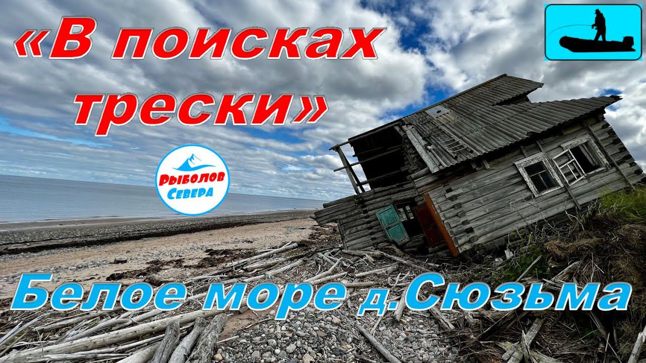 ✅ «В ПОИСКАХ ТРЕСКИ» Белое море 2022 мыс Малинник д.Сюзьма #рыболов_севера смотреть онлайн