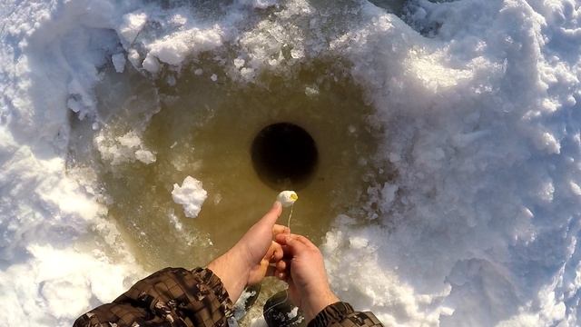 Вот она!!! Залётная!!! Ну наконец-то рыба!!! Рыбалка на хапуги в глухозимье!! смотреть онлайн