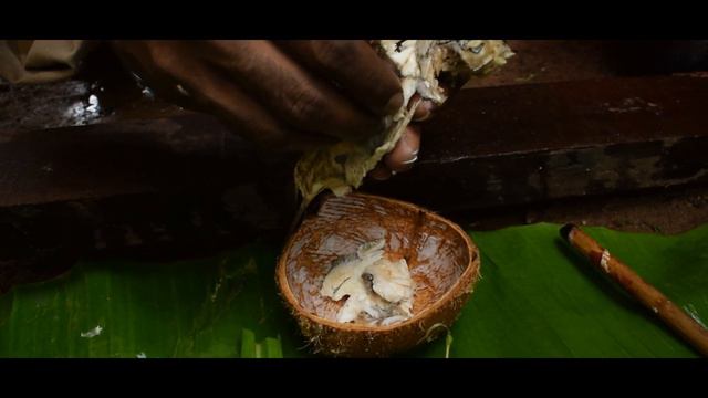 Sri Lankan Lake Fish (Korali) Roti | 3c Fish 🇱🇰 | Ceylon Fish Taste смотреть онлайн