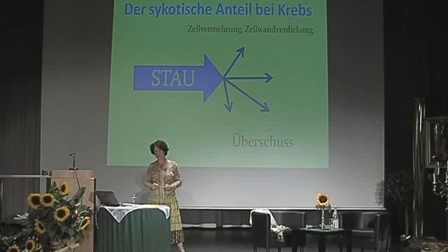 Krebs-Kongress DVD 2009 - 12 DVD's смотреть онлайн