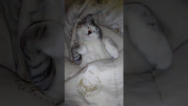 Тяжело вставать по утрам? Не тебе одному!))) смотреть онлайн