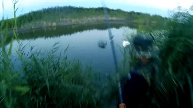 Трофей этого года, лучшая рыбалка в сезоне 2017 / Catfish for an artificial frog смотреть онлайн