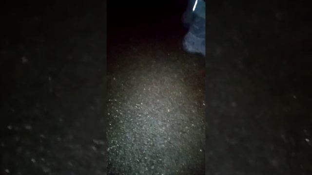 За. Мной пагнался. Картон Кэт смотреть онлайн