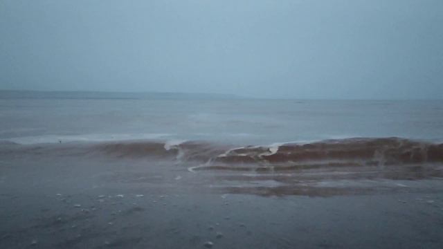 На берегу Ангары / On the Angara-river bank смотреть онлайн