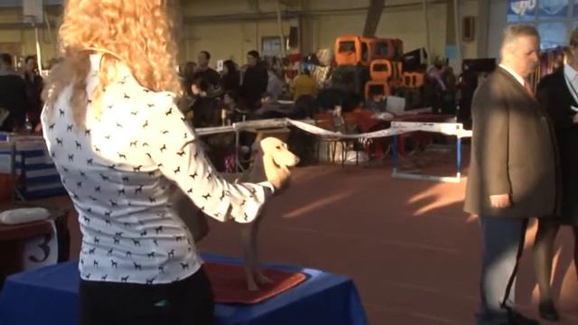 СТРАЖ ДОНБАССА март 2012.mpg смотреть онлайн