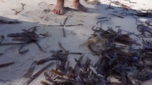 Отдых на Кубе с детьми. Club Amigo Guardalavaca