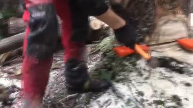 Puude langetamine Harjumaa смотреть онлайн