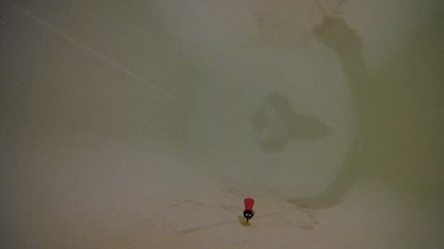 Криль (попугайчик) 50 мм  проводка  12.18 г.