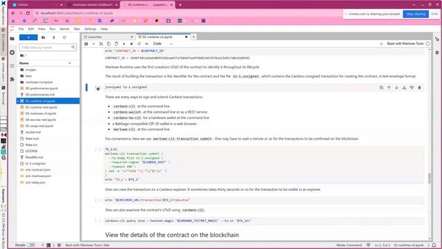 ZCB using the Marlowe Runtime command line client смотреть онлайн