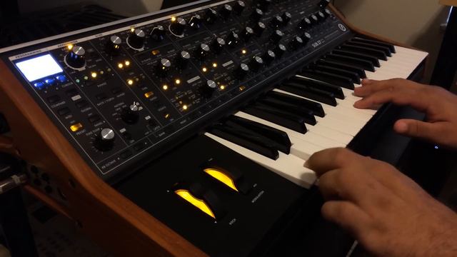 Moog Sub 37 First Test (with Light Show!)