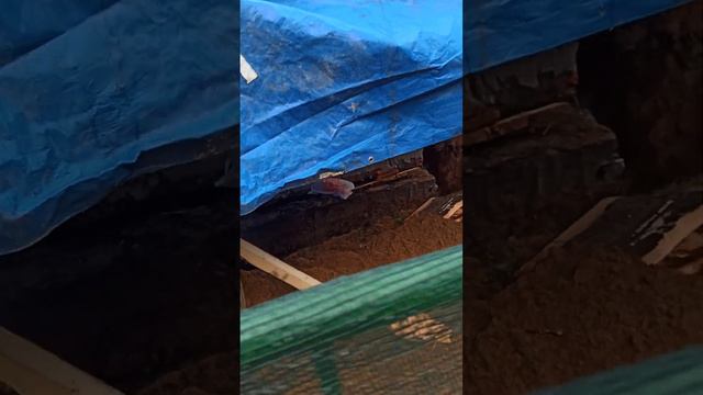 Бюджетные деньги как вода смотреть онлайн