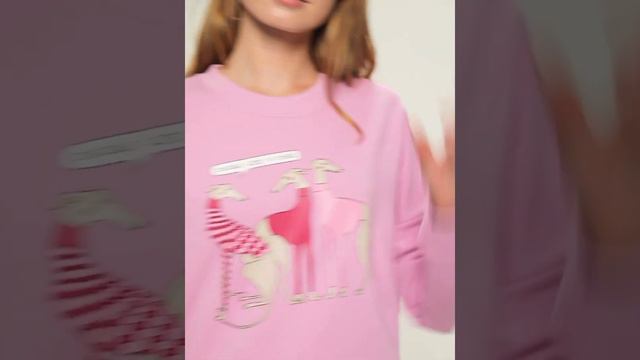 Свитшот "Левретки Vogue" розовый Barmariska смотреть онлайн