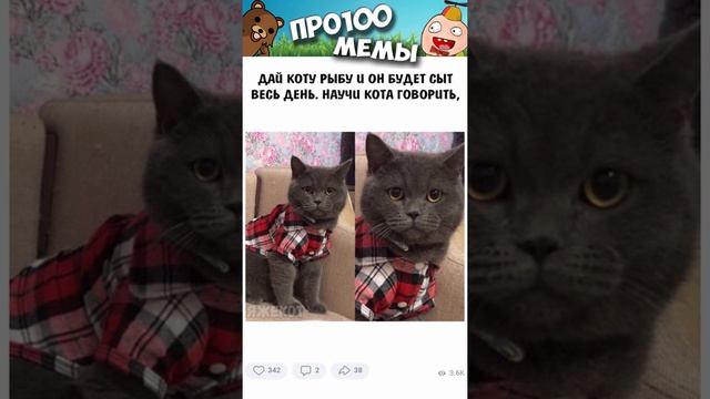 Мемы 2022 ( Про100 мемы ) выпуск 349 - День местного Самоуправления смотреть онлайн