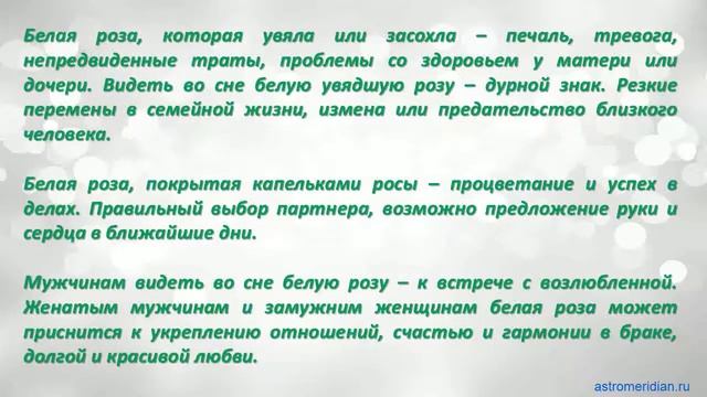 К чему снится Белая роза смотреть онлайн