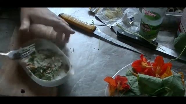 Настурция, вкусный цветок. смотреть онлайн