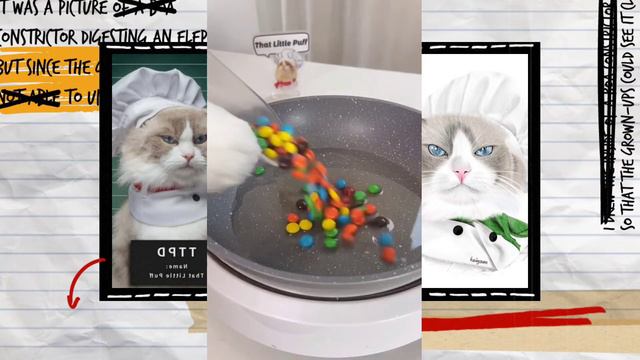 Cat making Heart shape ❤ Omlet and Choclate Popcorn | Cat cooking food | Puff Cat | MasterChef Meow смотреть онлайн