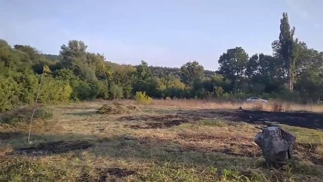 Кратко за день))) смотреть онлайн