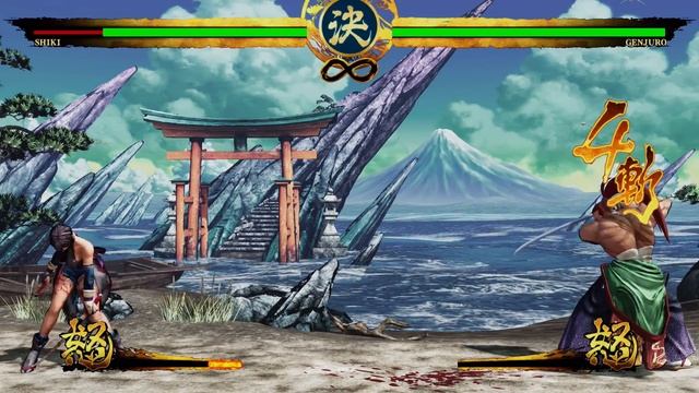 The Beginner's guide to Samurai Shodown смотреть онлайн