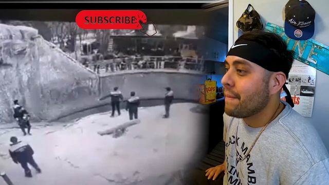 CAUGHT ON CAMERA! HORRIFIC Woman THROWS Daughter into BEAR Enclosure! Tashkent Zoo, Uzbekistan 202 смотреть онлайн