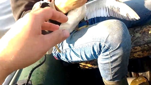 А сети ловят не только рыбу)))) смотреть онлайн