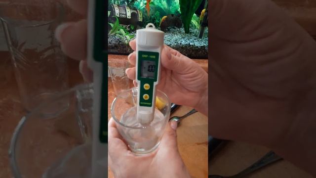 Эксперимент с лимонной водой. смотреть онлайн