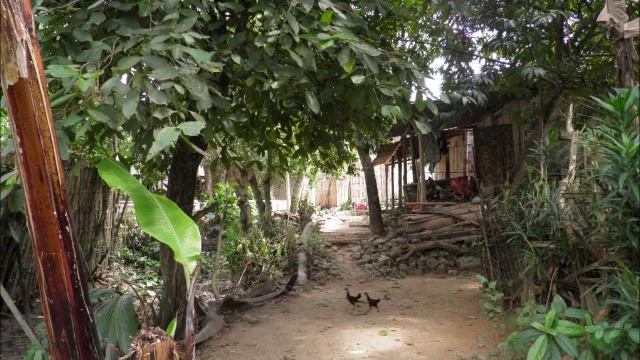 Meru Betiri National Park - Photo Video by Simone&Ilaria - Sukamade, Java, Indonesia 2011 смотреть онлайн