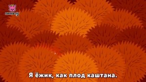 Прятки | Песни про Животных | Пинкфонг Песни для Детей