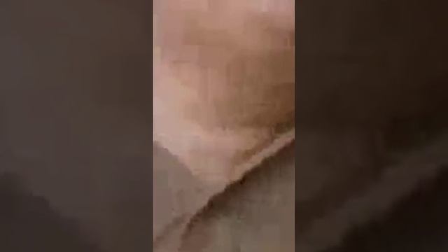 #pvp with java player #bedrock #minecraft #best #mine #pubg #pubgfunny #gaming #pvp #meme # смотреть онлайн