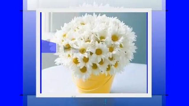 2013 ОТ ВСЕЙ ДУШИ ! С днем РОЖДЕНИЯ СВЕТЛАНА! смотреть онлайн
