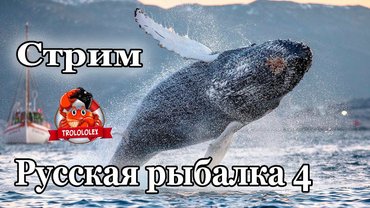 Русская рыбалка 4. Стрим стримный для рыбы рыбной смотреть онлайн