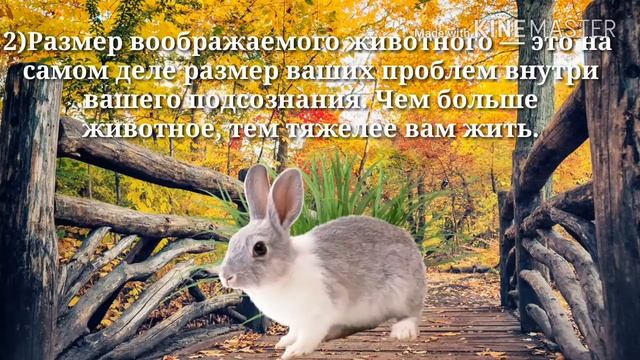Короткий психологический тест, чтобы проверить, что для вас важо на самом деле. смотреть онлайн