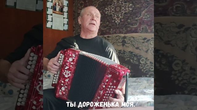 Ты дороженька моя. Красивая песня под гармошку. смотреть онлайн