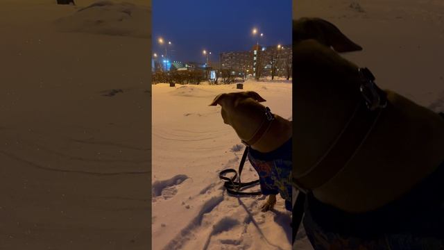 Утро Воскресное, лишь Вега, да я?? смотреть онлайн