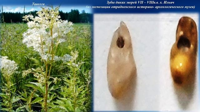 Древние амулеты и обереги смотреть онлайн