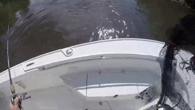 Goggle Eye Matrix Craw & Matrix Mini смотреть онлайн