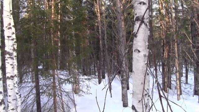 Январь закрыли трофеем 2023 г. смотреть онлайн