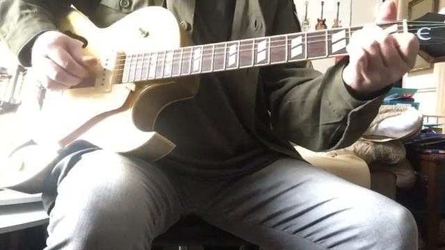 Chet Atkins cover - Windy and warm by Muzeekees guitarist Nicky Leigh смотреть онлайн